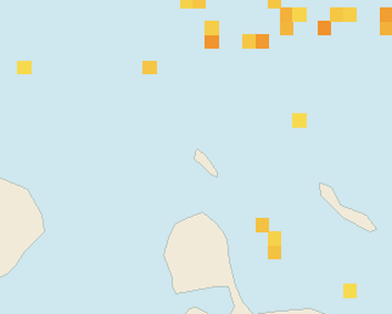 Satellite floating-algae map near Aruba Palm and Eagle Beach, Aug 2021 (opens full map image in a new tab)