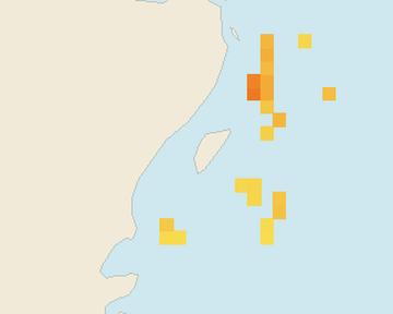 Satellite floating-algae map near Akumal, Nov 2021 (opens full map image in a new tab)
