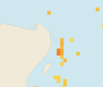 Satellite floating-algae map near Cancun Hotel Zone, Nov 2021 (opens full map image in a new tab)