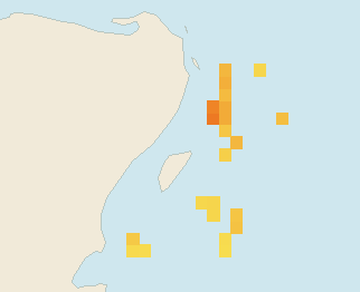Satellite floating-algae map near Playa del Carmen, Nov 2021 (opens full map image in a new tab)