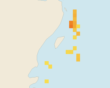 Satellite floating-algae map near Akumal, Dec 2021 (opens full map image in a new tab)