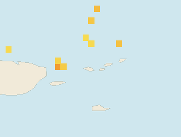 Satellite floating-algae map near St. Thomas, Dec 2021 (opens full map image in a new tab)