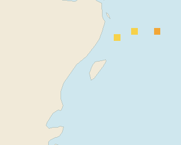 Satellite floating-algae map near Akumal, Jan 2022 (opens full map image in a new tab)