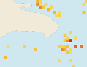 Satellite floating-algae map near Bayahibe, Jan 2022 (opens full map image in a new tab)