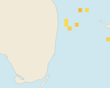 Satellite floating-algae map near Fort Lauderdale, Feb 2022 (opens full map image in a new tab)