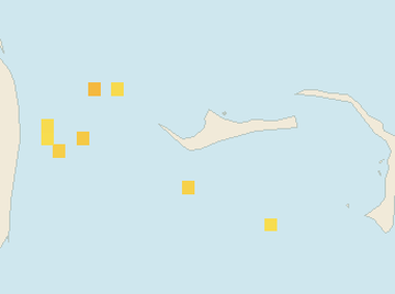 Satellite floating-algae map near Grand Bahama, Feb 2022 (opens full map image in a new tab)