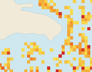 Satellite floating-algae map near Bayahibe, Aug 2022 (opens full map image in a new tab)
