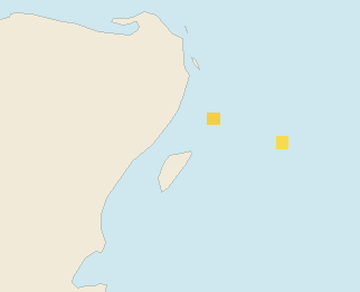 Satellite floating-algae map near Playa del Carmen, Jan 2023 (opens full map image in a new tab)