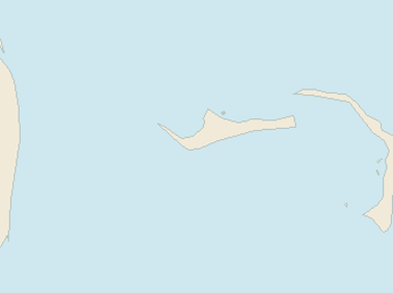 Satellite floating-algae map near Grand Bahama, Feb 2023 (opens full map image in a new tab)