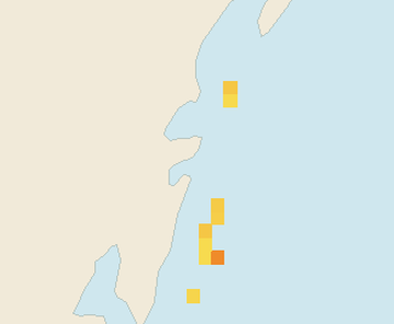Satellite floating-algae map near Tulum Beach Zone, Oct 2023 (opens full map image in a new tab)