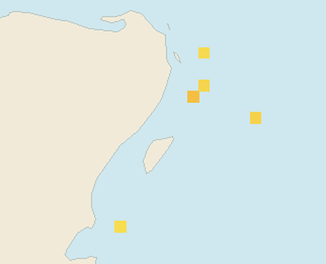 Satellite floating-algae map near Playa del Carmen, Nov 2023 (opens full map image in a new tab)