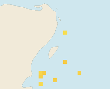 Satellite floating-algae map near Playa del Carmen, Dec 2023 (opens full map image in a new tab)