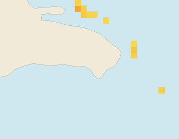 Satellite floating-algae map near Bayahibe, Jan 2024 (opens full map image in a new tab)