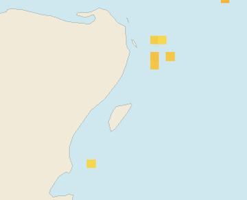 Satellite floating-algae map near Playa del Carmen, Feb 2024 (opens full map image in a new tab)