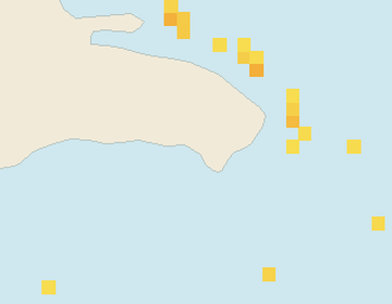 Satellite floating-algae map near Bayahibe, Apr 2024 (opens full map image in a new tab)