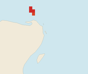 Satellite floating-algae map near Cancun Hotel Zone, Jul 2024 (opens full map image in a new tab)