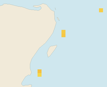 Satellite floating-algae map near Playa del Carmen, Aug 2024 (opens full map image in a new tab)