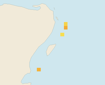 Satellite floating-algae map near Playa del Carmen, Sep 2024 (opens full map image in a new tab)