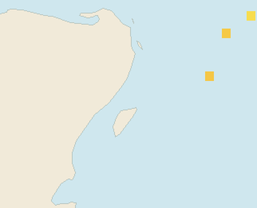 Satellite floating-algae map near Playa del Carmen, Nov 2024 (opens full map image in a new tab)