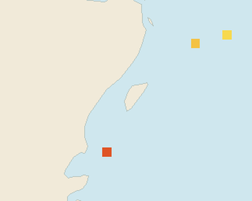 Satellite floating-algae map near Akumal, Jan 2025 (opens full map image in a new tab)