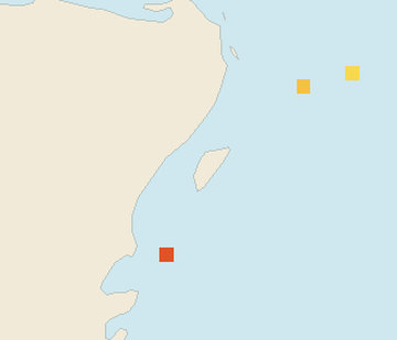 Satellite floating-algae map near Cozumel (west coast), Jan 2025 (opens full map image in a new tab)