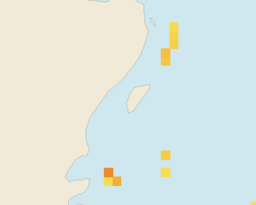 Satellite floating-algae map near Akumal, Feb 2025 (opens full map image in a new tab)