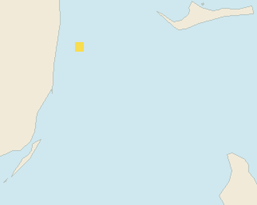 Satellite floating-algae map near Bimini, Feb 2025 (opens full map image in a new tab)