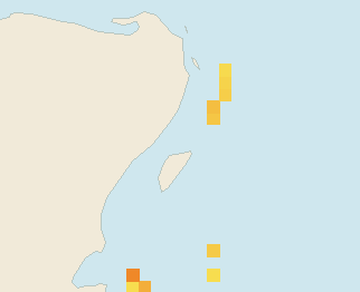 Satellite floating-algae map near Playa del Carmen, Feb 2025 (opens full map image in a new tab)
