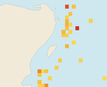 Satellite floating-algae map near Playa del Carmen, Apr 2025 (opens full map image in a new tab)