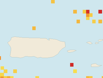 Satellite floating-algae map near San Juan and Isla Verde, Apr 2025 (opens full map image in a new tab)