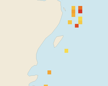 Satellite floating-algae map near Akumal, May 2025 (opens full map image in a new tab)