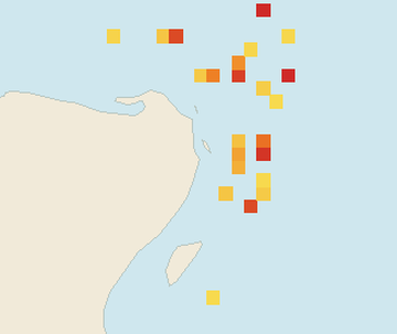 Satellite floating-algae map near Cancun Hotel Zone, May 2025 (opens full map image in a new tab)