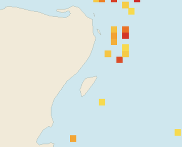 Satellite floating-algae map near Playa del Carmen, May 2025 (opens full map image in a new tab)