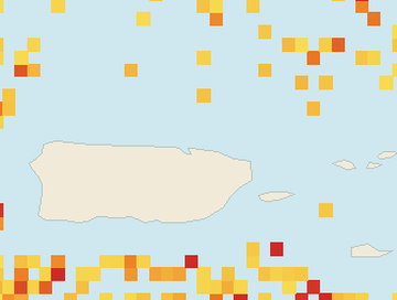 Satellite floating-algae map near San Juan and Isla Verde, May 2025 (opens full map image in a new tab)