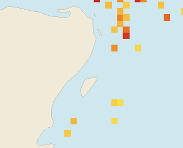 Satellite floating-algae map near Playa del Carmen, Jun 2025 (opens full map image in a new tab)