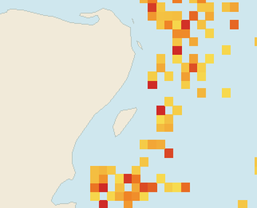 Satellite floating-algae map near Playa del Carmen, Jul 2025 (opens full map image in a new tab)