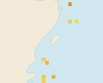 Satellite floating-algae map near Akumal, Oct 2025 (opens full map image in a new tab)