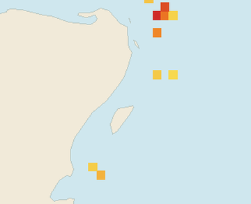 Satellite floating-algae map near Playa del Carmen, Oct 2025 (opens full map image in a new tab)