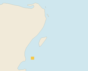 Satellite floating-algae map near Playa del Carmen, Nov 2025 (opens full map image in a new tab)