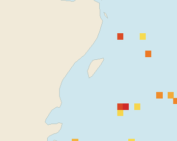 Satellite floating-algae map near Akumal, Feb 2026 (opens full map image in a new tab)