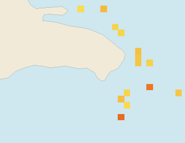 Satellite floating-algae map near Bayahibe, Feb 2026 (opens full map image in a new tab)