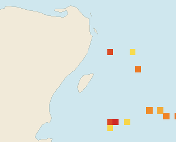 Satellite floating-algae map near Playa del Carmen, Feb 2026 (opens full map image in a new tab)