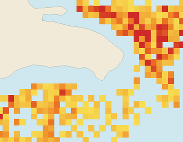 Satellite floating-algae map near Bayahibe, Jun 2026 (opens full map image in a new tab)