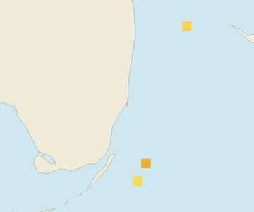 Satellite floating-algae map near Miami Beach, Aug 2026 (opens full map image in a new tab)