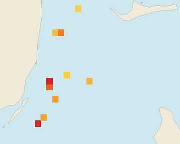 Satellite floating-algae map near Bimini, Sep 2026 (opens full map image in a new tab)
