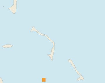 Satellite floating-algae map near Eleuthera, Sep 2026 (opens full map image in a new tab)